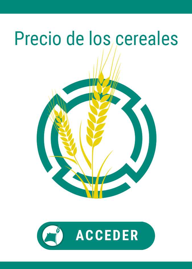 Clima