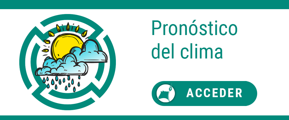 Clima