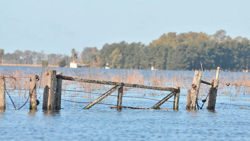 Carbap: “Sembrando desigualdad de oportunidades”