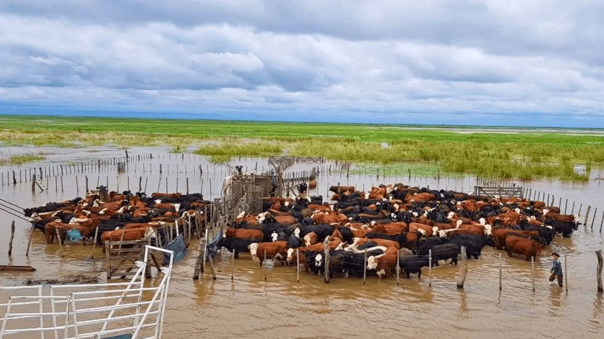 INTA: se suman mapas de excedentes hídricos a la plataforma SEPA