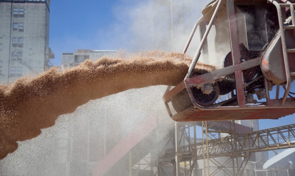 China: abrieron la inscripción para exportadores de cebada, trigo, soja, sorgo y maíz