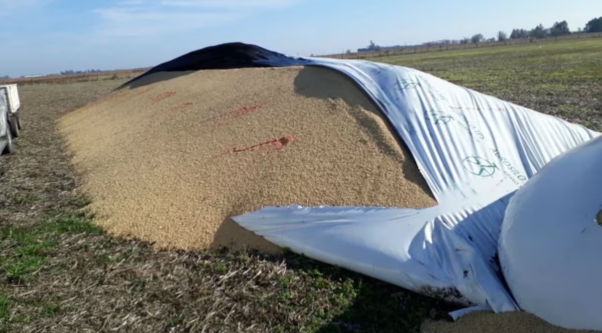 CRA: “Buscamos fortalecer la seguridad jurídica y contribuir a la prevención del delito en el ámbito rural”