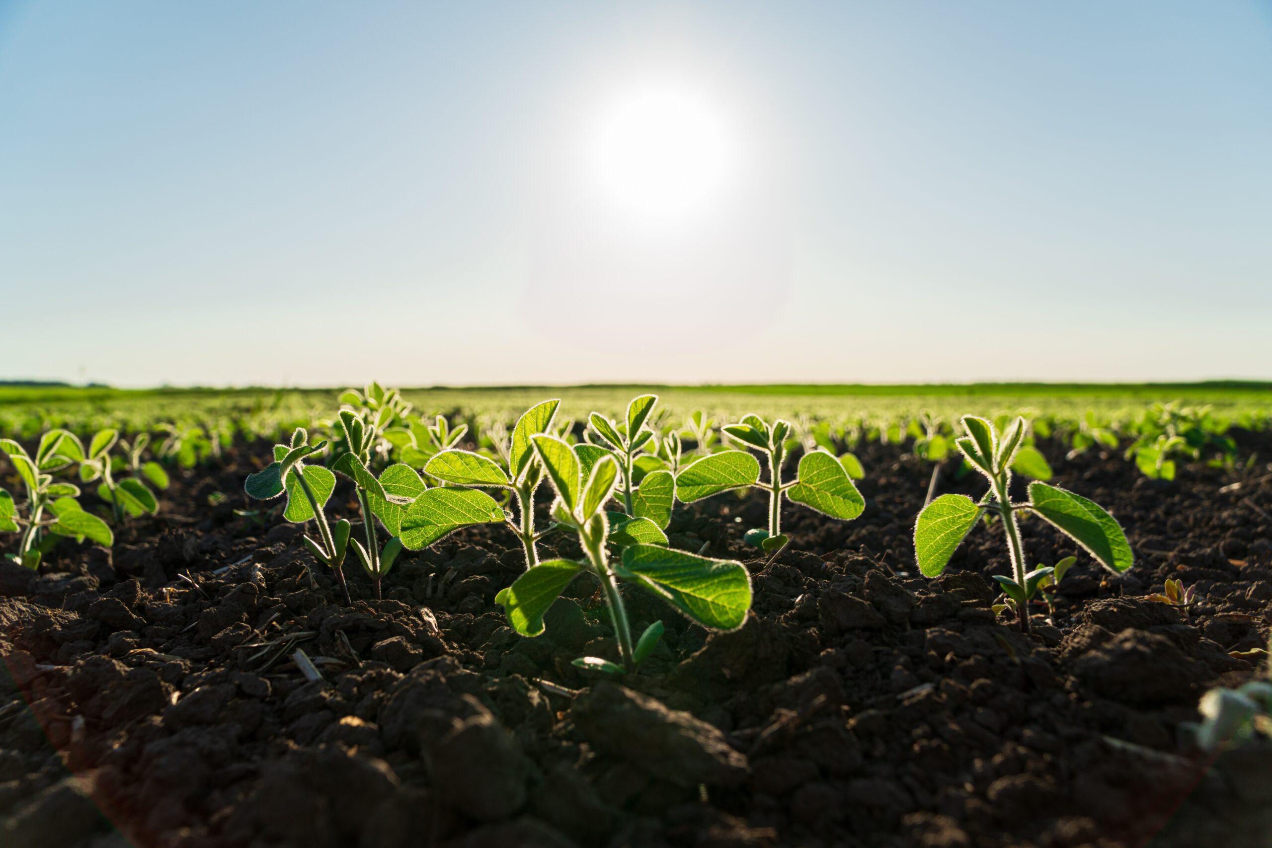 Fertilizar AC: Respaldo al INTA por su conocimiento, producción y desarrollo sostenible en el territorio