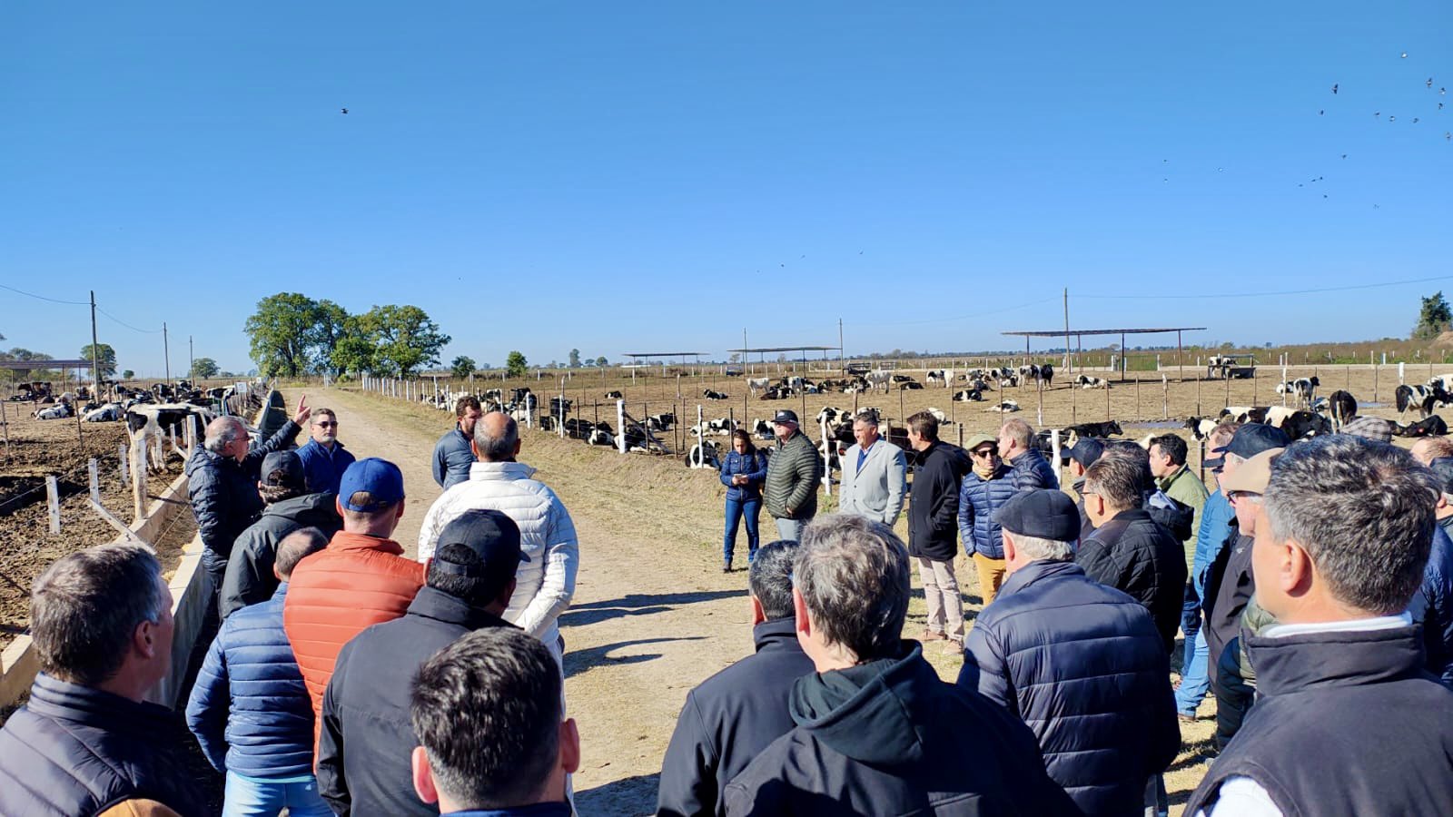 Humboldt: Inauguraron el primer feedlot cooperativo del país