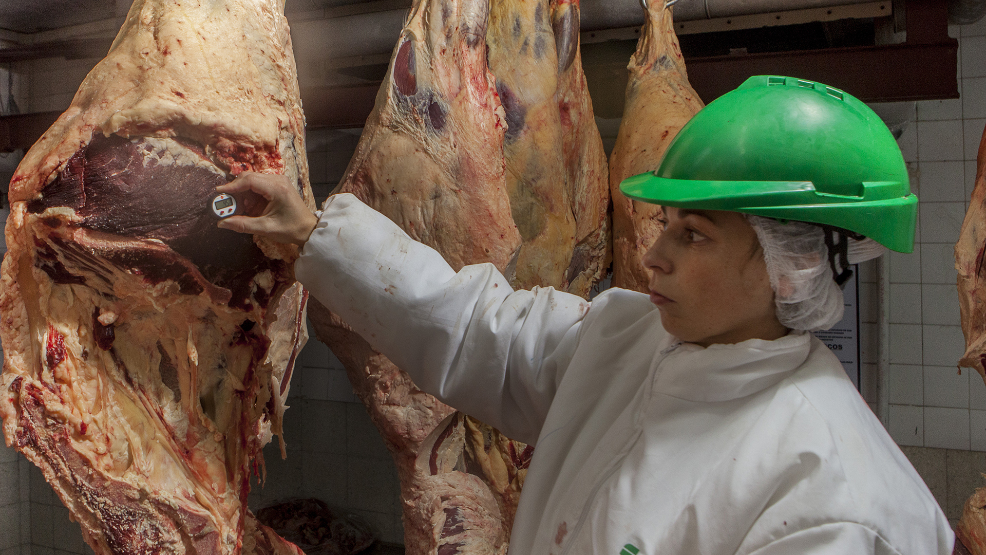 Senasa: Nuevo procedimiento para reforzar el control de la carne de exportación