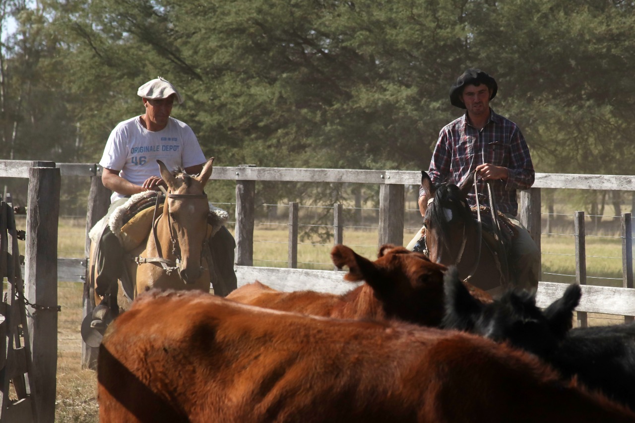 El Renatre lanzó un programa de capacitaciones a distancia para el sector rural