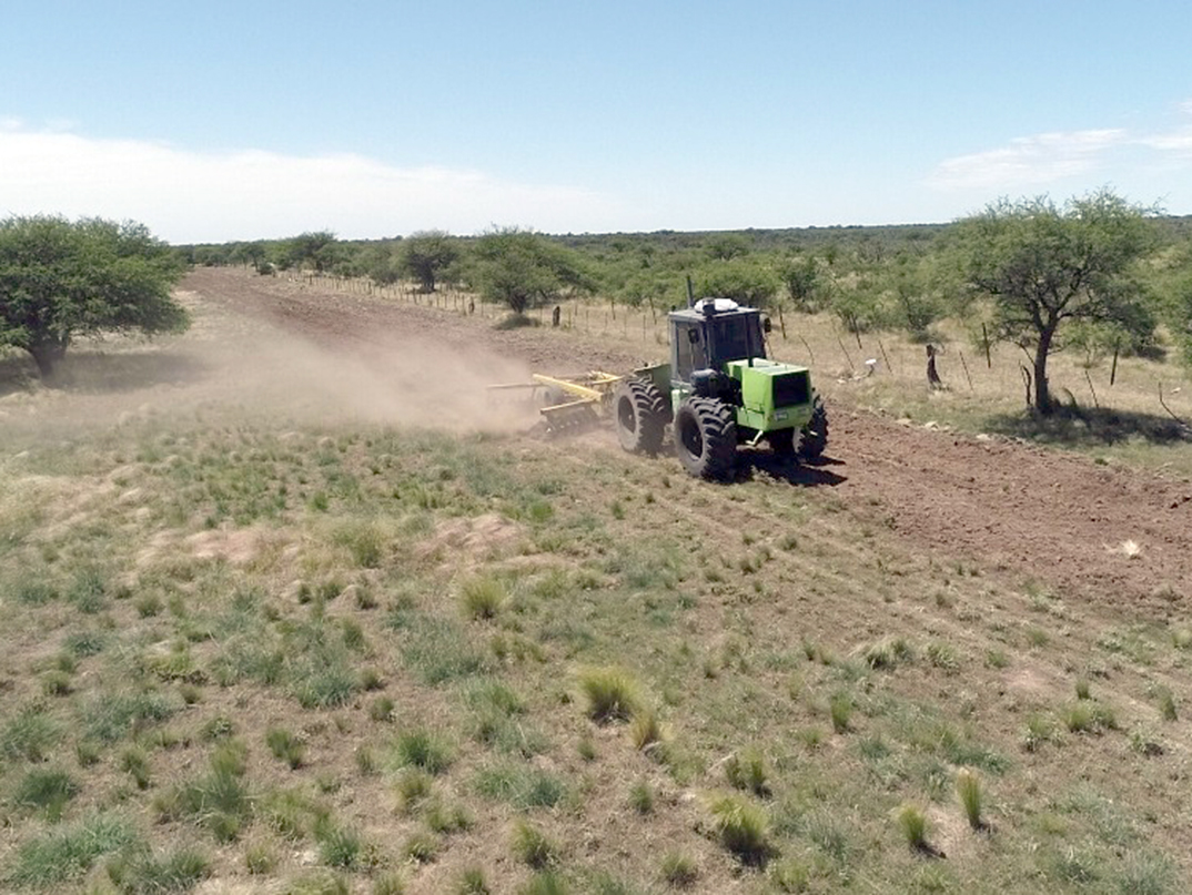Incendios: preocupación por la acumulación de material vegetal altamente combustible