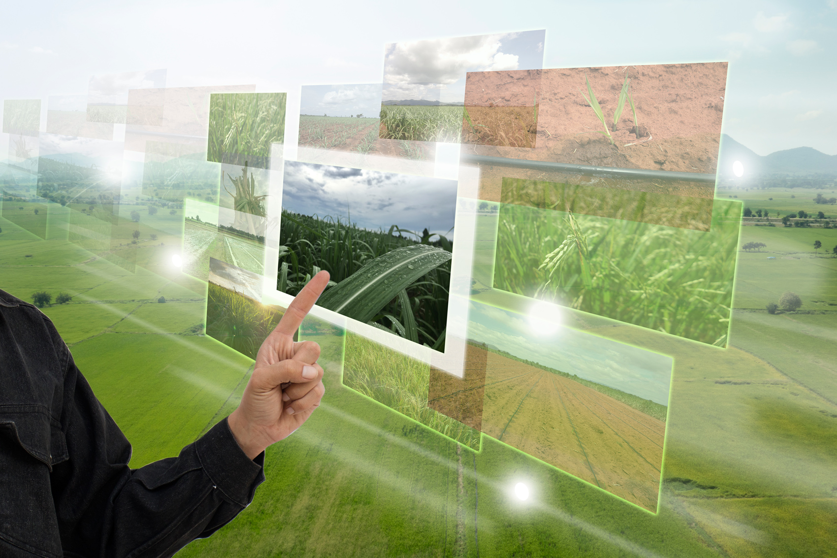 Videoconferencias: Gerenciando las empresas del agro y los cultivos de cobertura