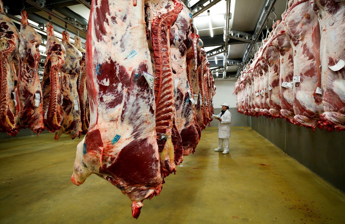 Industria cárnica: la faena vacuna registra mínimos históricos en lo que va de 2026