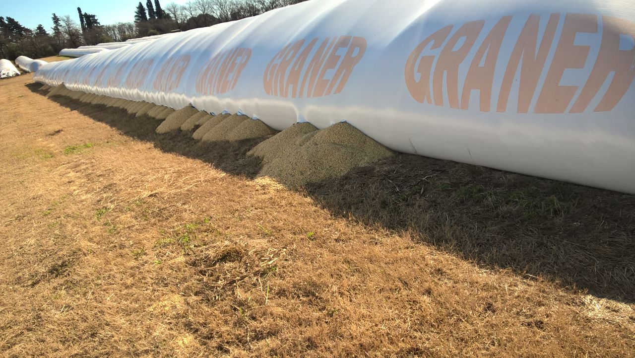 La cadena agroindustrial salió a apoyar la iniciativa parlamentaria contra el vandalismo rural