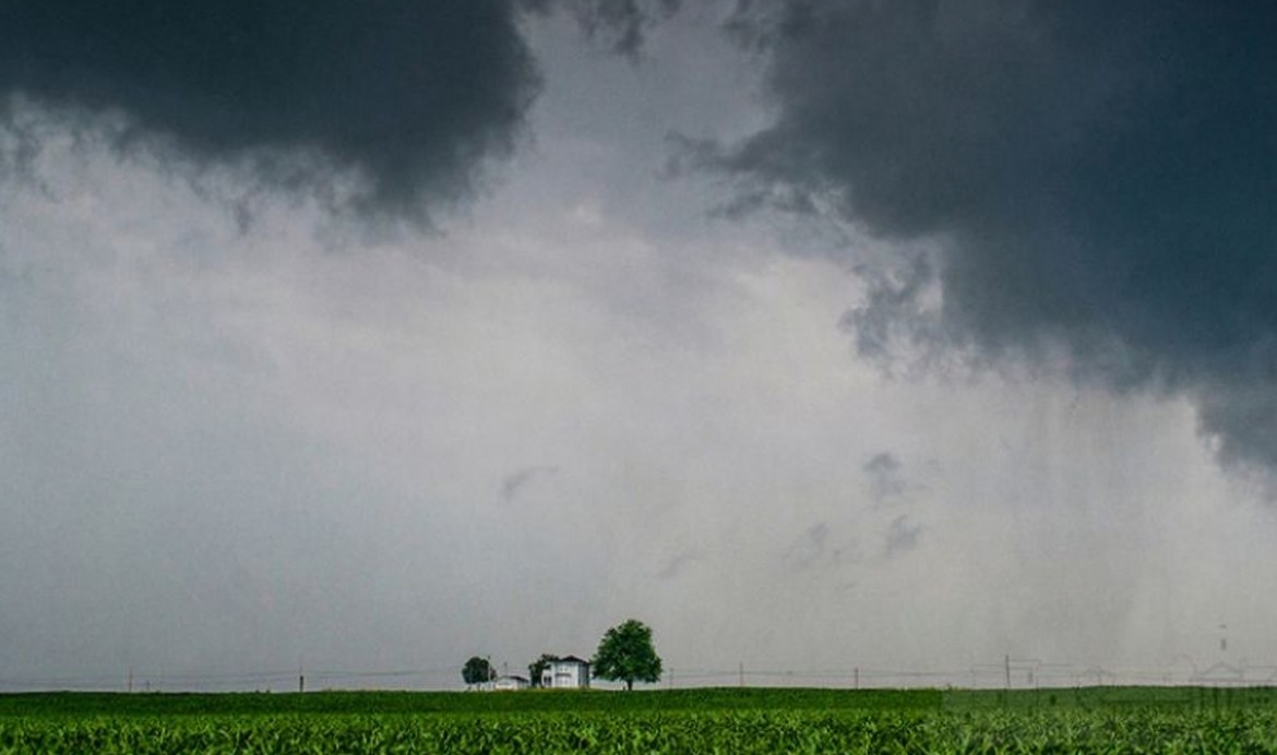 Taller de seguros agrícolas de la BCP: ¿cuáles son las herramientas para la instrumentación?