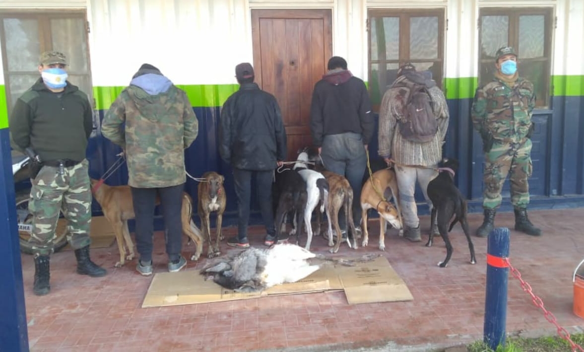 Comando Prevención Rural Bahía Blanca: más aprehensiones de cazadores