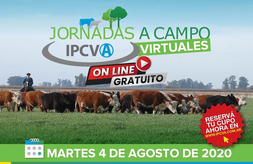 El IPCVA en Dorrego, por una ganadería exitosa y sustentable sobre un sistema pastoril