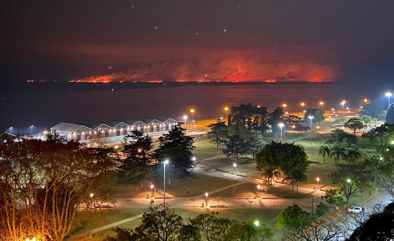 Fuego en las islas del Delta del río Paraná: ¿un problema policial o de manejo?