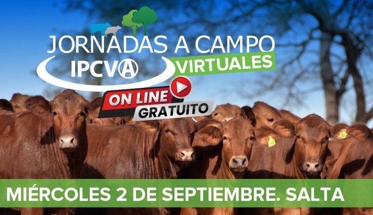 Seminario del IPCVA: “Definimos nuestro norte, la exportación”