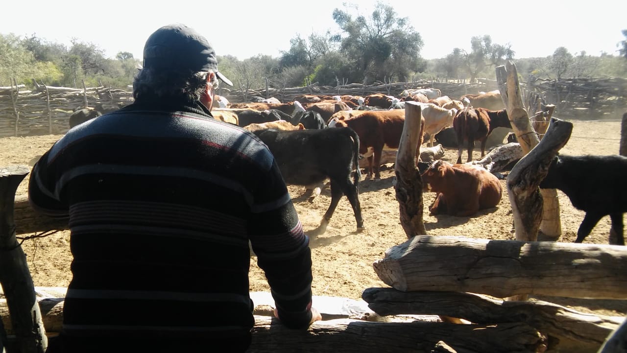 ¿Por qué el 8 de septiembre es el Día de la Agricultura y del Productor Agropecuario?