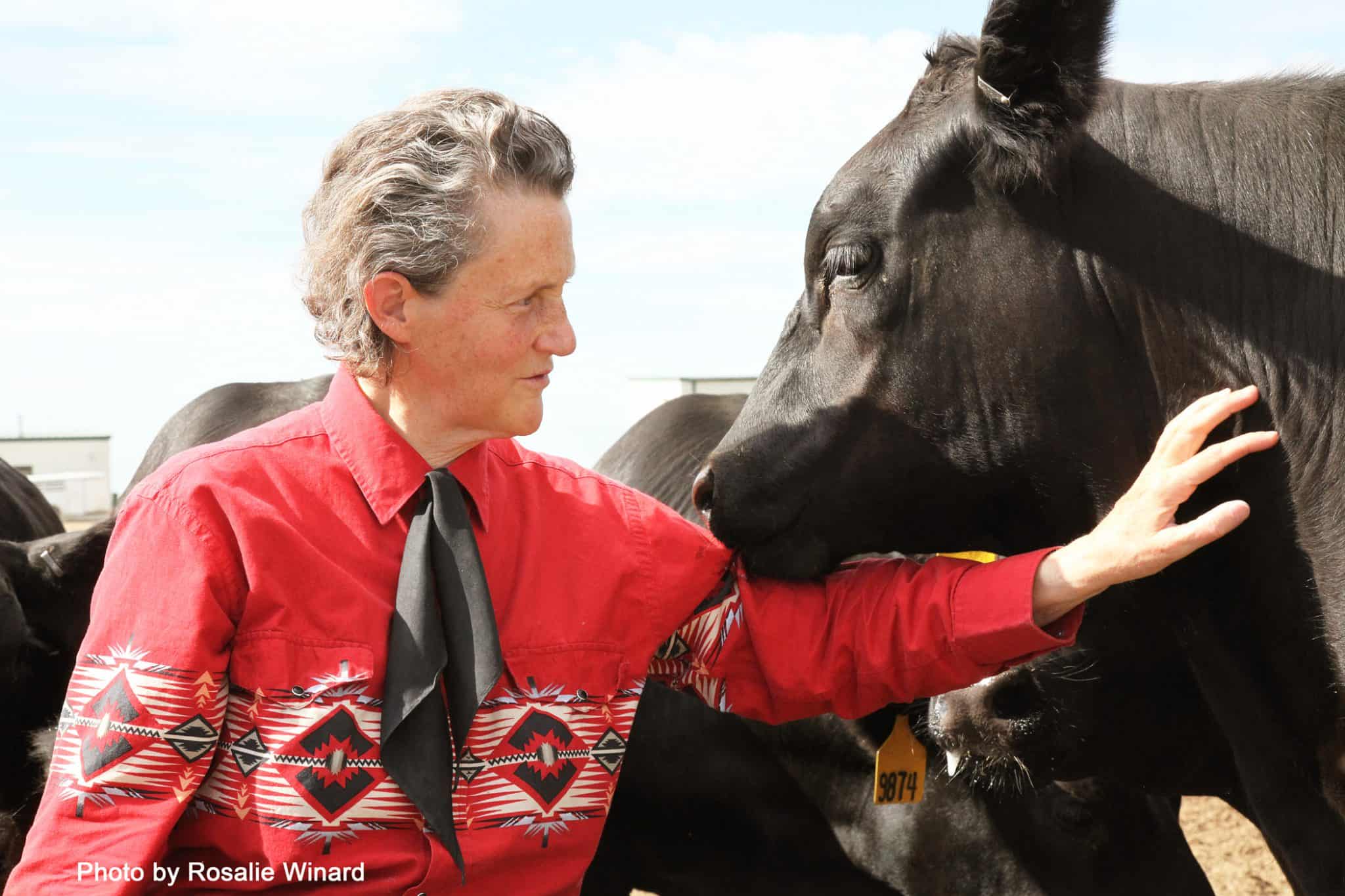 Grandin: “Si queremos sistemas sustentables, debemos fusionar a la agricultura y a la ganadería”