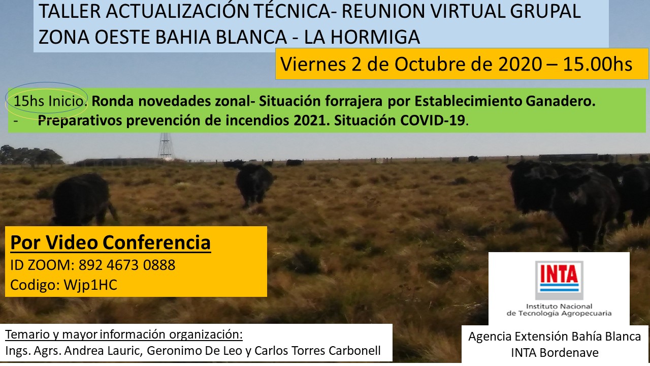 Videoconferencia: reuniones técnicas y de prevención de incendios