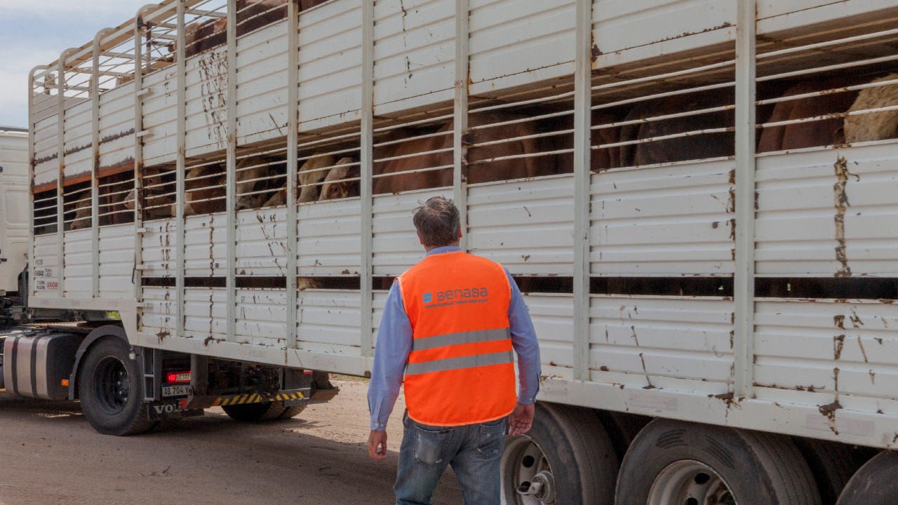 Crece el uso de la autogestión en la emisión del DT-e para el movimiento de animales