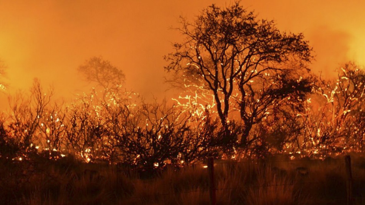 CRA: “Un proyecto inspirado en el desconocimiento de los incendios”