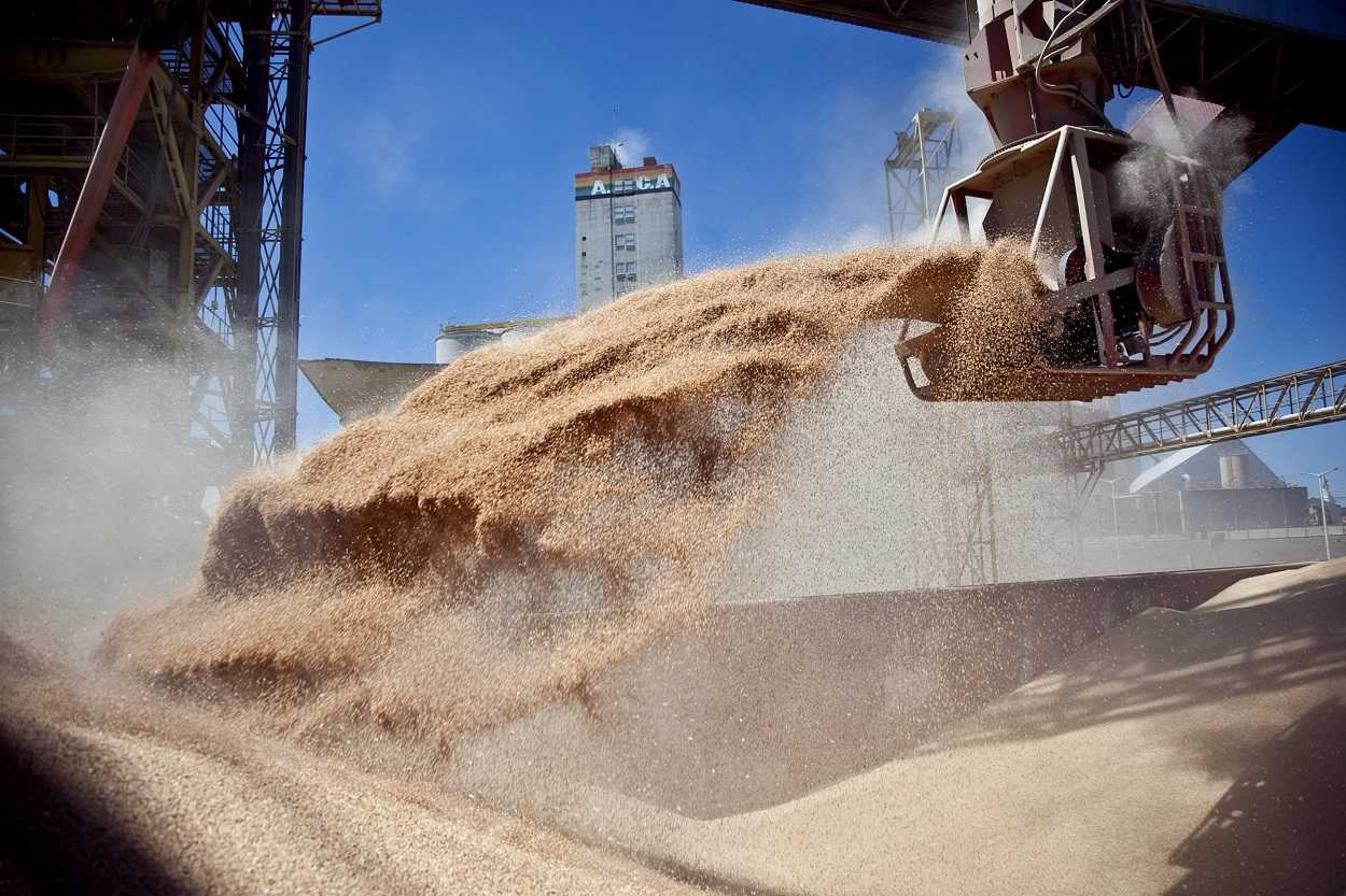 Hasta febrero venidero, el aporte del campo sería de 8.800 millones de dólares