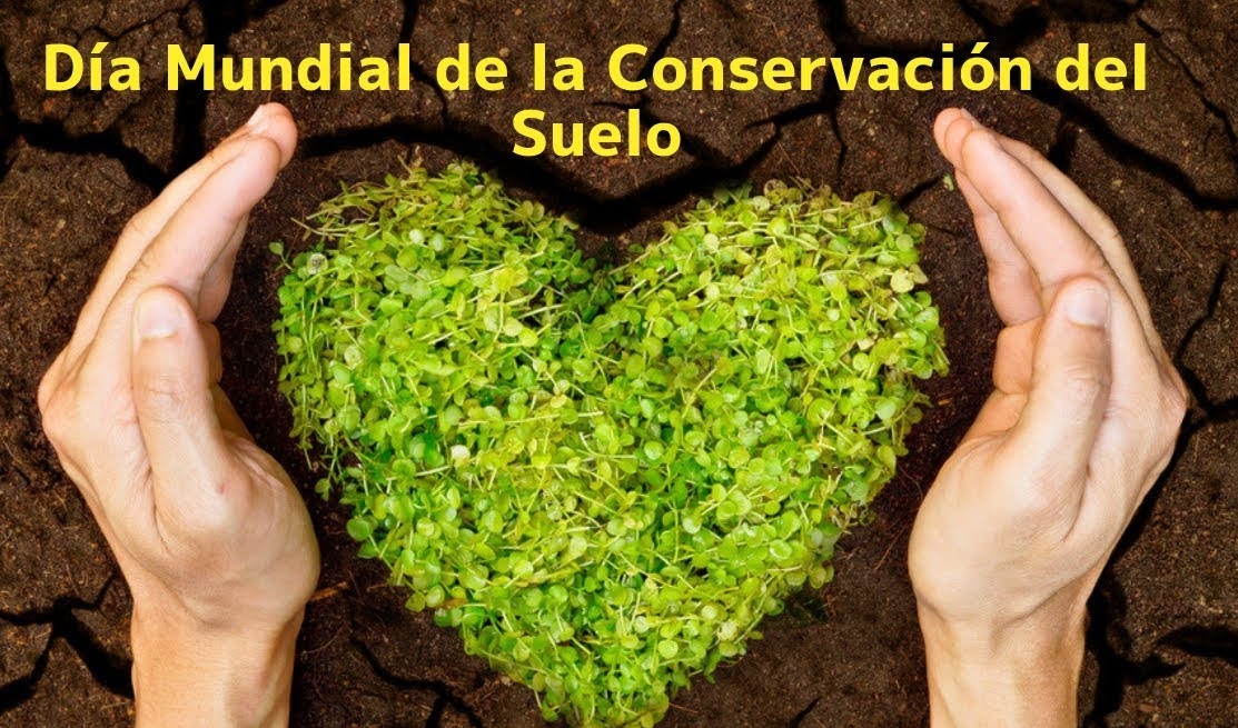 Suelo: un recurso clave para la alimentación y la protección del medio ambiente