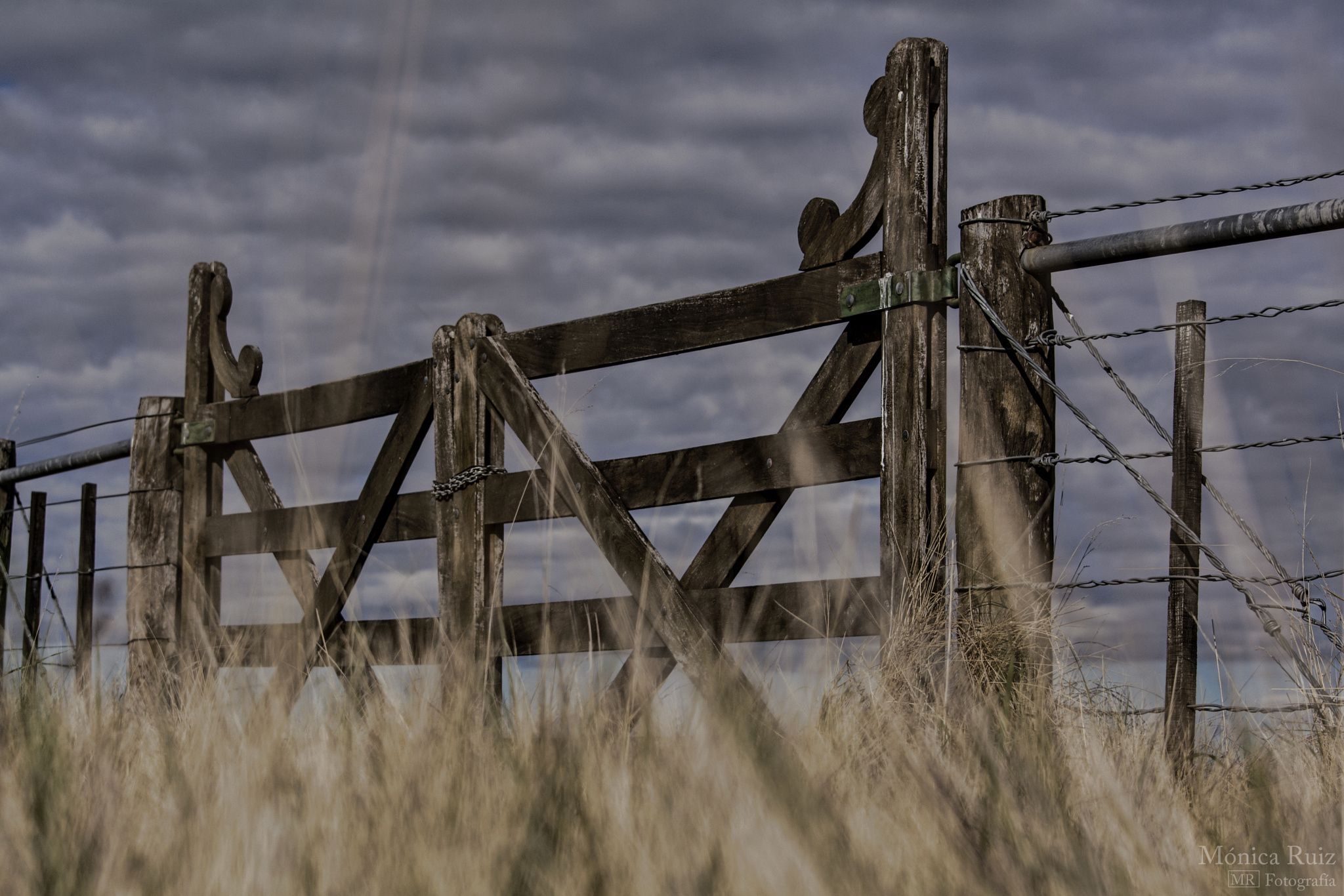 Carbap: ¿Por qué achicar el campo pampeano empobrece a la provincia?