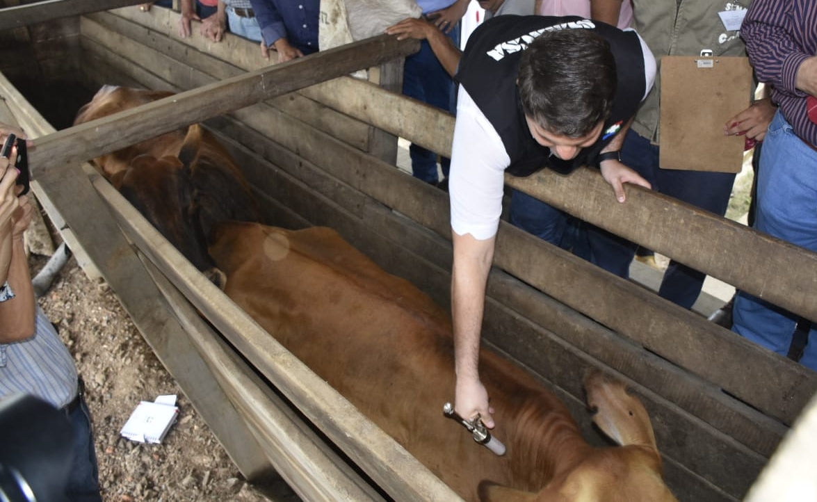 Brucelosis 2020: tasas de positividad en nuestra región