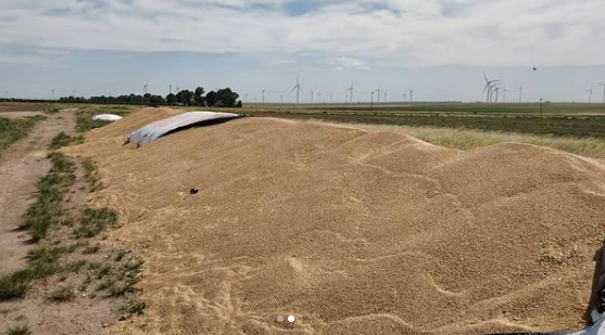 Otro hecho de inseguridad rural en nuestra región