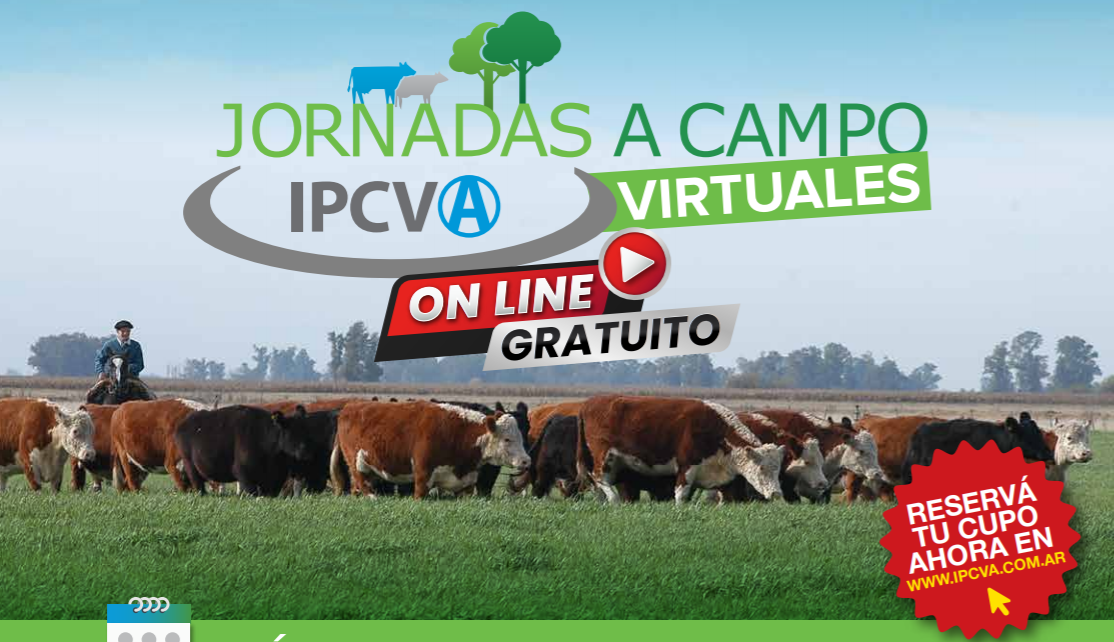 Videoconferencia del IPCVA: Hacia la intensificación ganadera en ambientes marginales