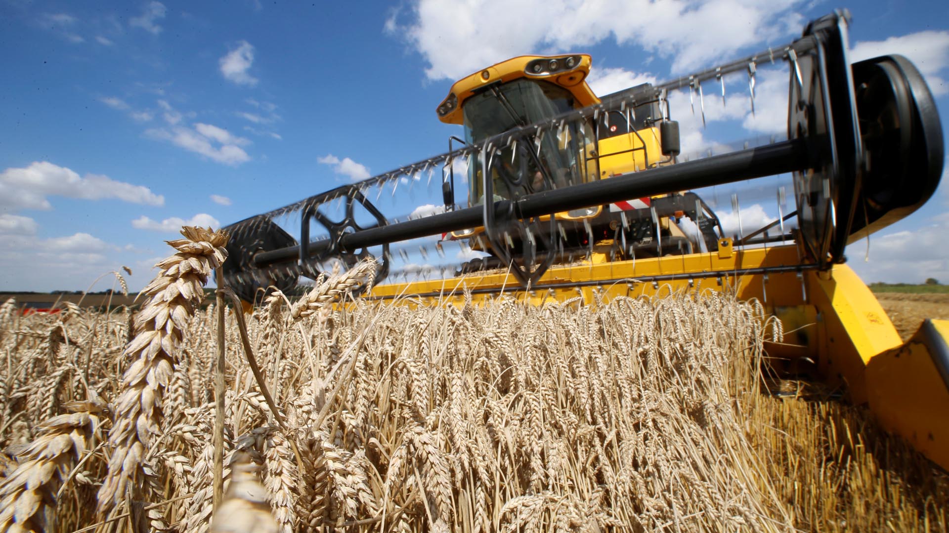 Cadenas agroalimentarias: “Déjennos producir para ayudar a la Argentina”