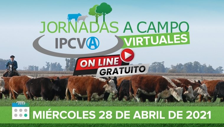 El IPCVA en Dorrego: Cómo se logra un desarrollo ganadero integral