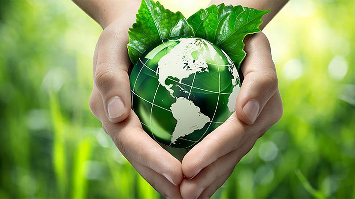 Día Mundial del Medio Ambiente: ¿Por qué es clave cuidar el recurso suelo?