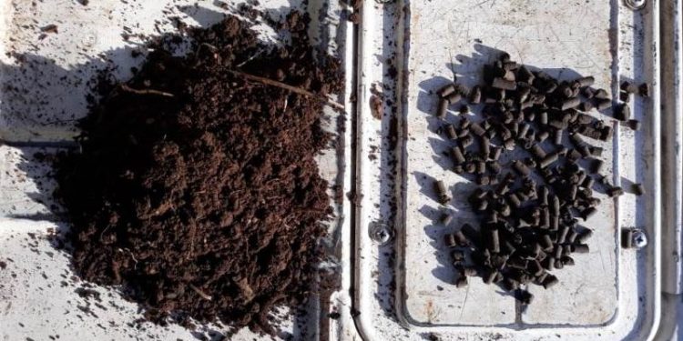 Pellet de compost, un biofertilizante que promete aumentar el rendimiento en trigo