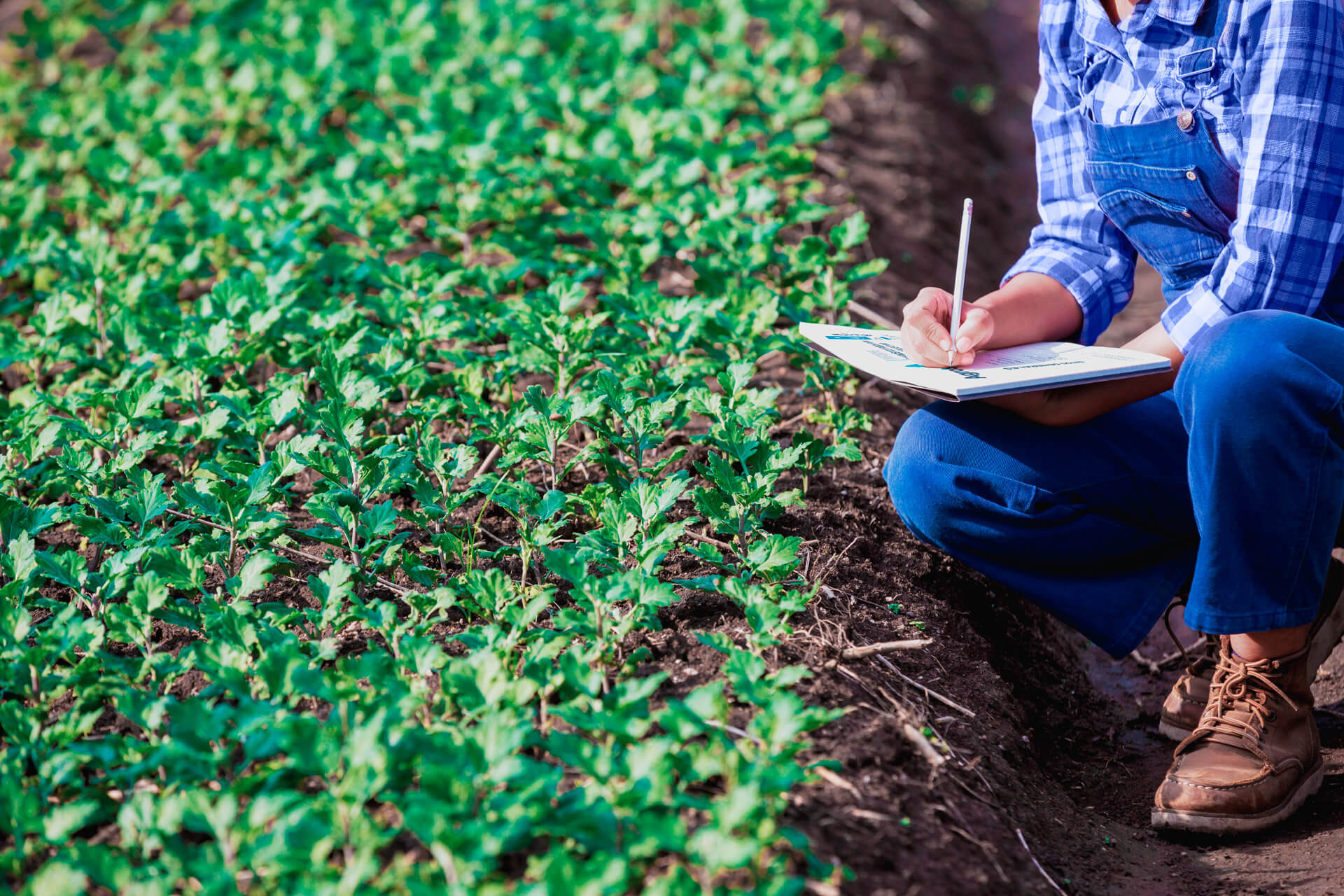 Ciclo de Profertil: Riesgos en el manejo y acopio de productos fertilizantes