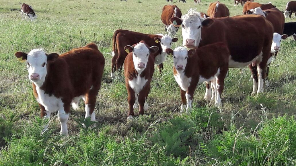 El ministerio de Desarrollo Agrario lanza el programa de BPA y de prevención de ETS