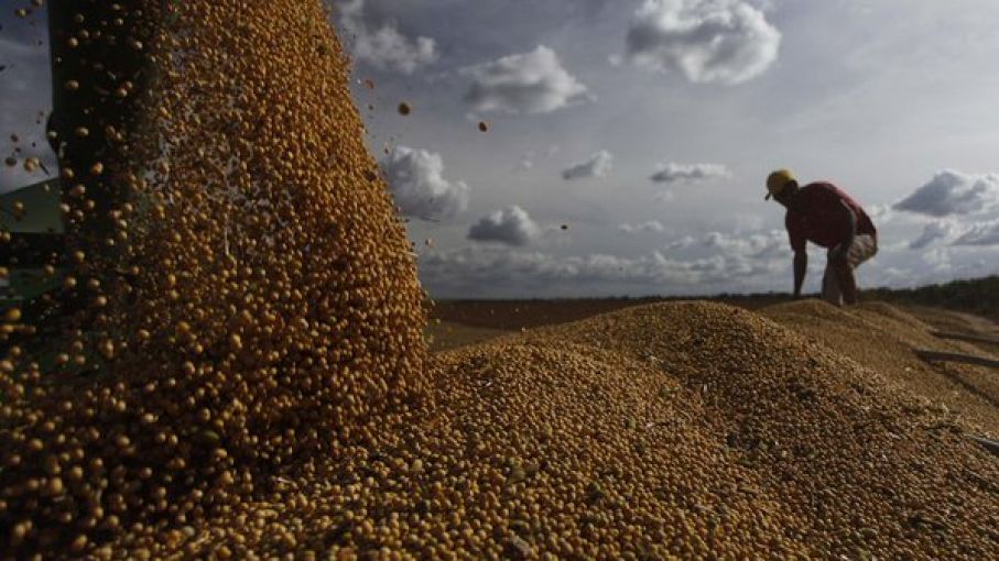 ¿Qué hacer en un mercado volátil y de riesgo climático?