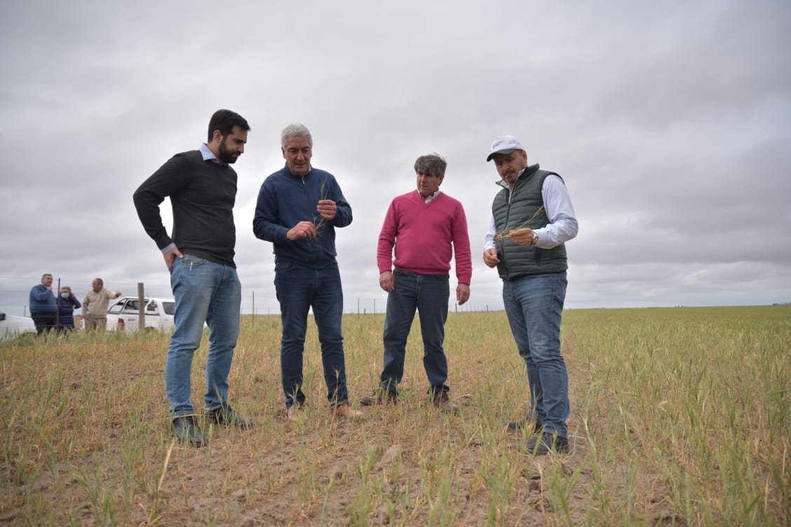 SOB: el secretario de Agricultura de la Nación visitó zonas afectadas por la sequía