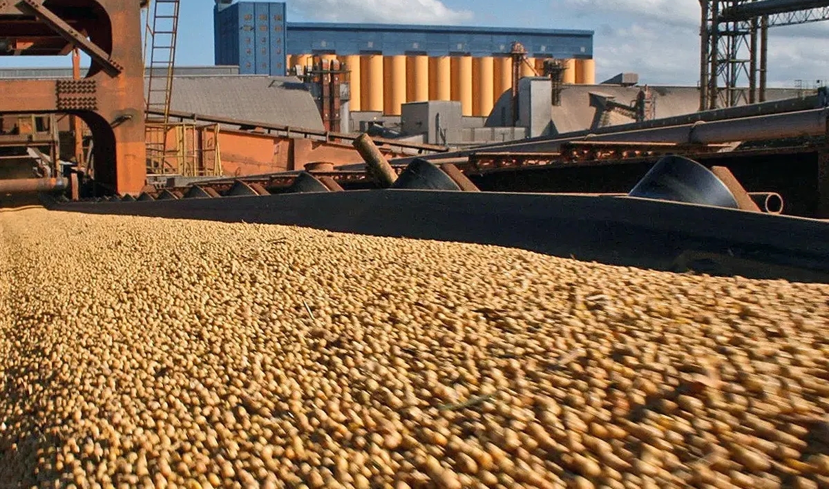 Bolsas de Cereales y de Comercio: Rechazo al cierre de las exportaciones de aceite y harina de soja