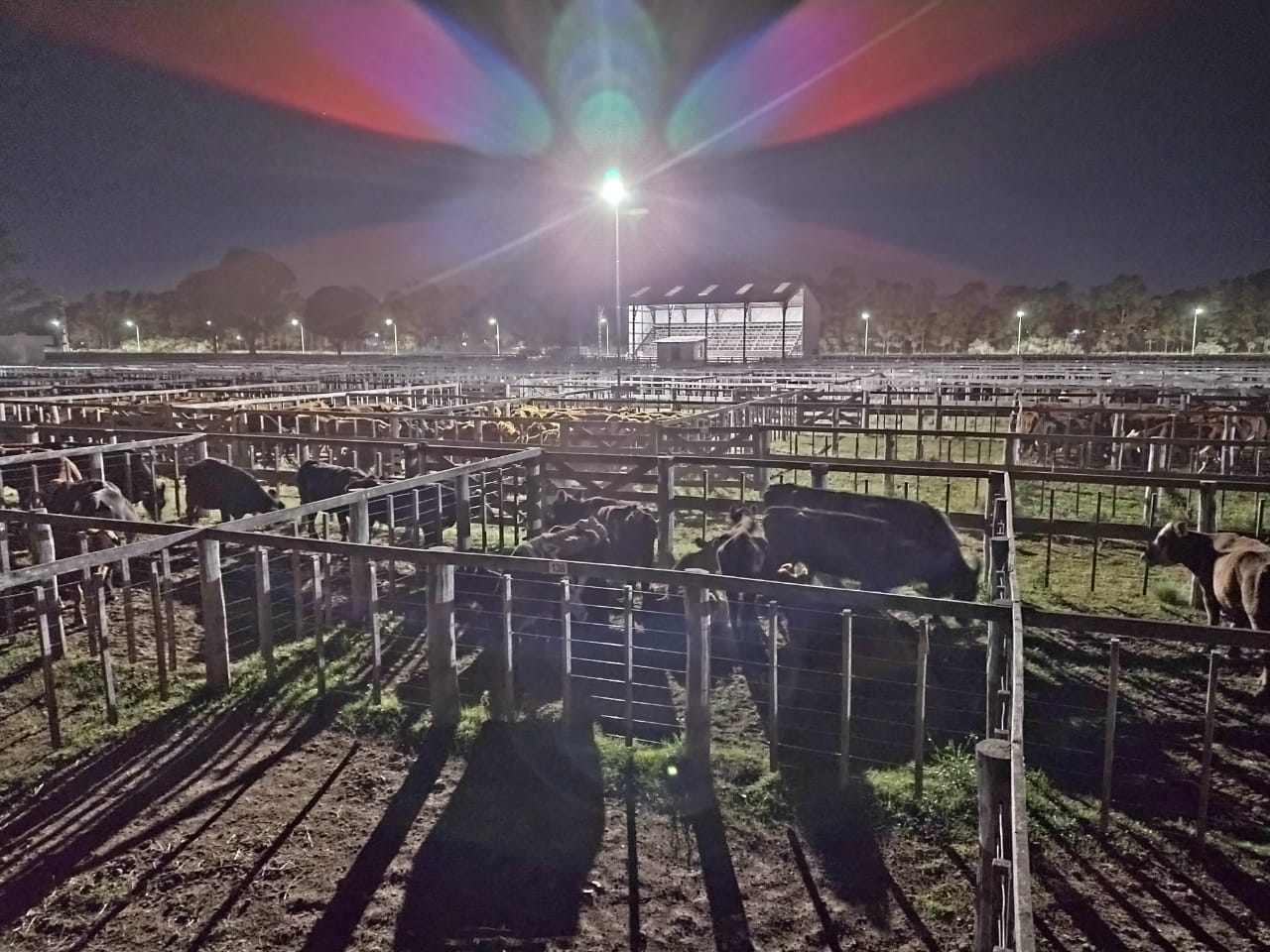 Predio de la AGA: se concretó la primera etapa de la obra de iluminación