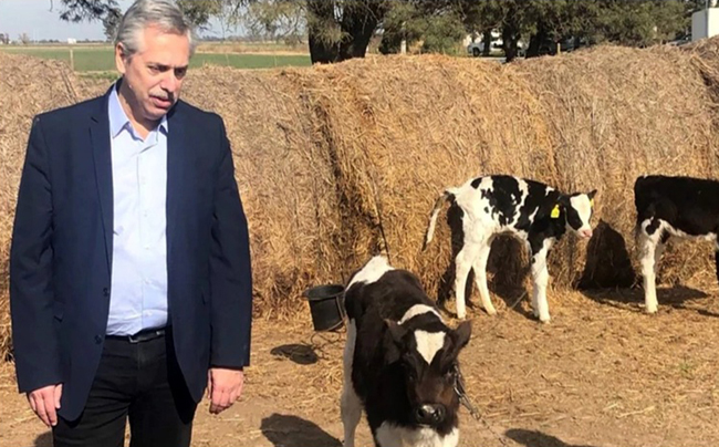 Carbap: El presidente Fernández y su conocimiento de la ganadería