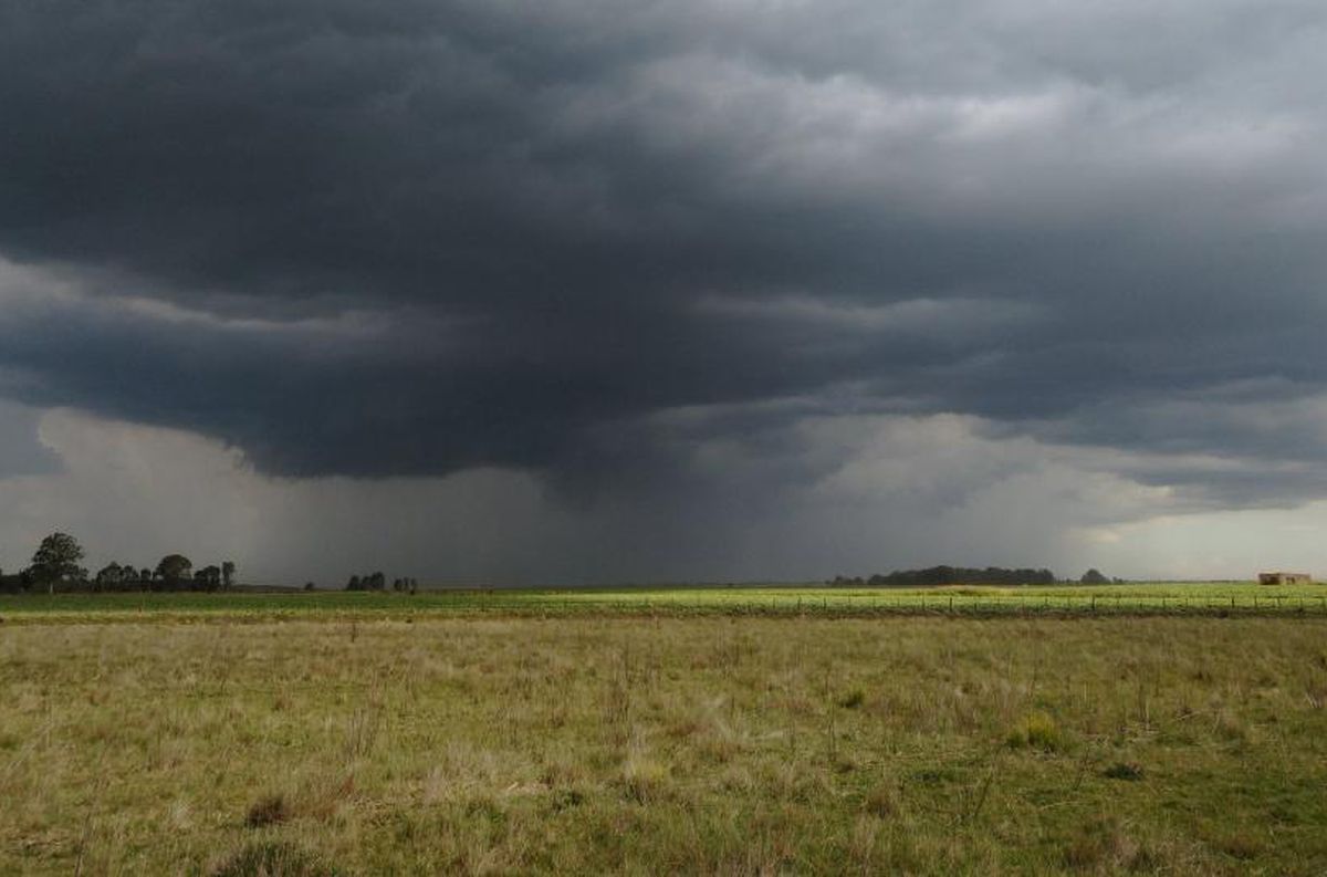 SIAT: ¿Cuáles son los pronósticos de lluvia y temperatura hasta febrero de 2023?