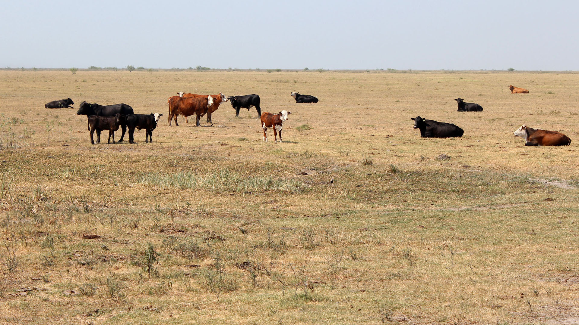 Clima: ¿Cuándo se comenzará a salir de La Niña?