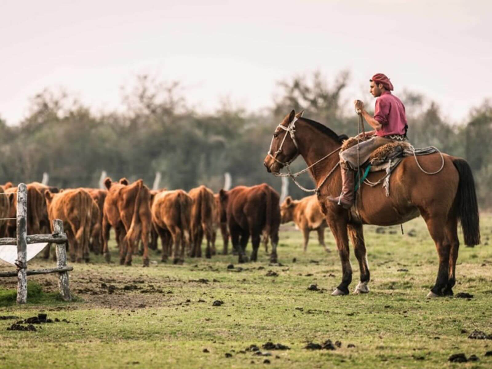 CRA, la Comisión Nacional de Trabajo Agrario y la superposición de bonos