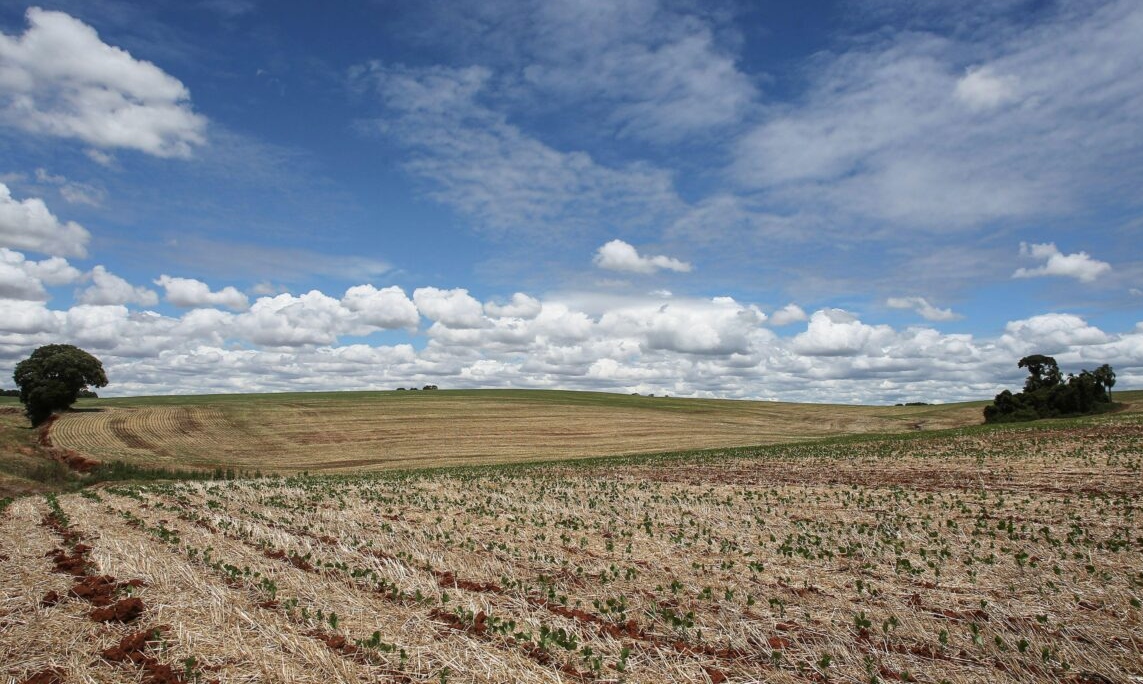 El impacto de la sequía: se prevén pérdidas por más de U$S 14.000 M AGA -  Asociación de Ganaderos y Agricultores de Bahía Blanca