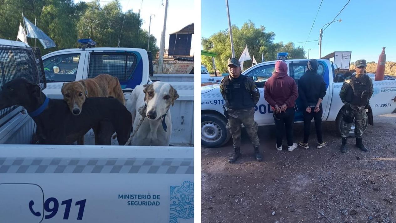 Patrulla Rural: aprehensiones por infracción a la ley de fauna y desobediencia