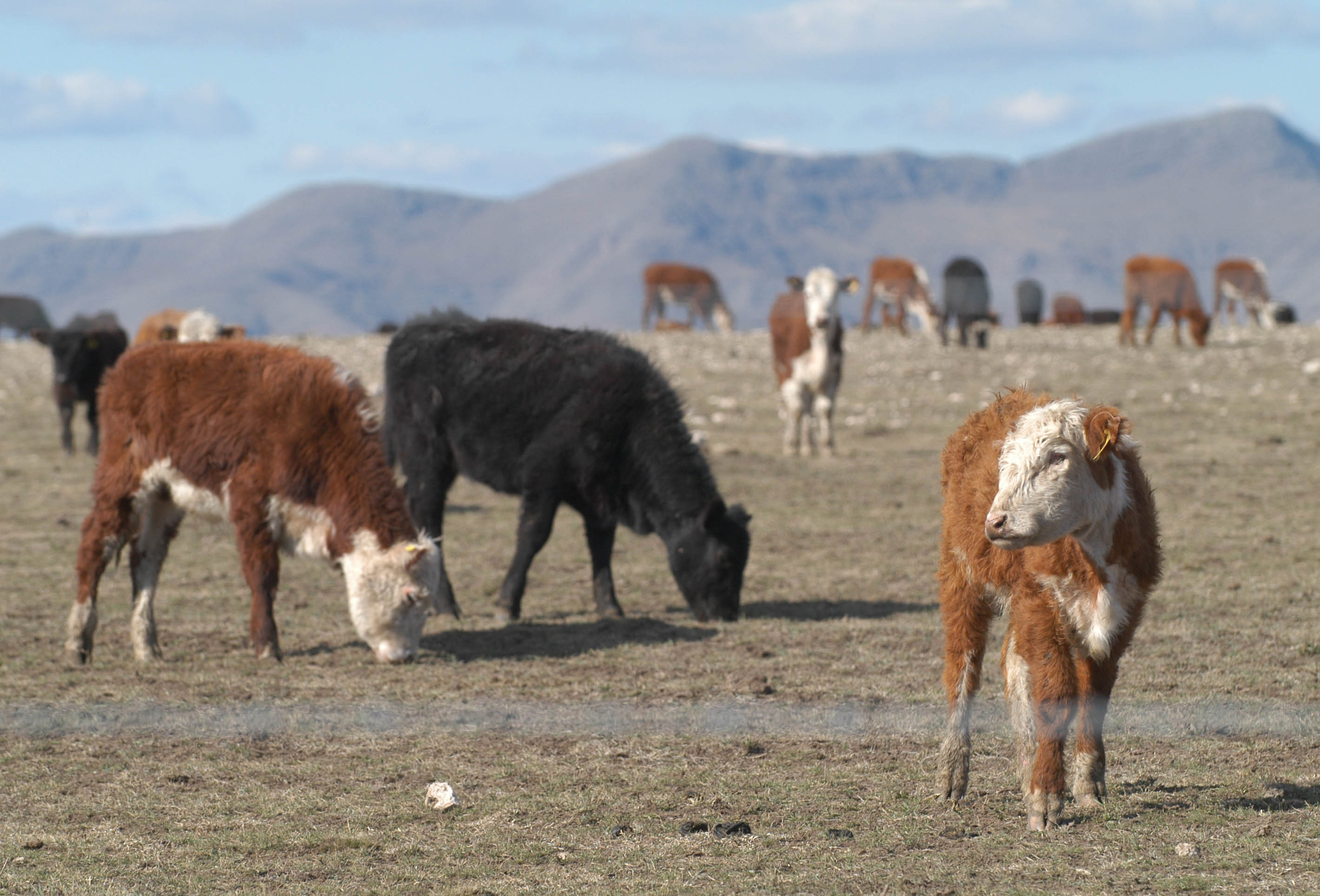 Asociación Rural de Tornquist: “Basta de sistemas obsoletos y desiguales”