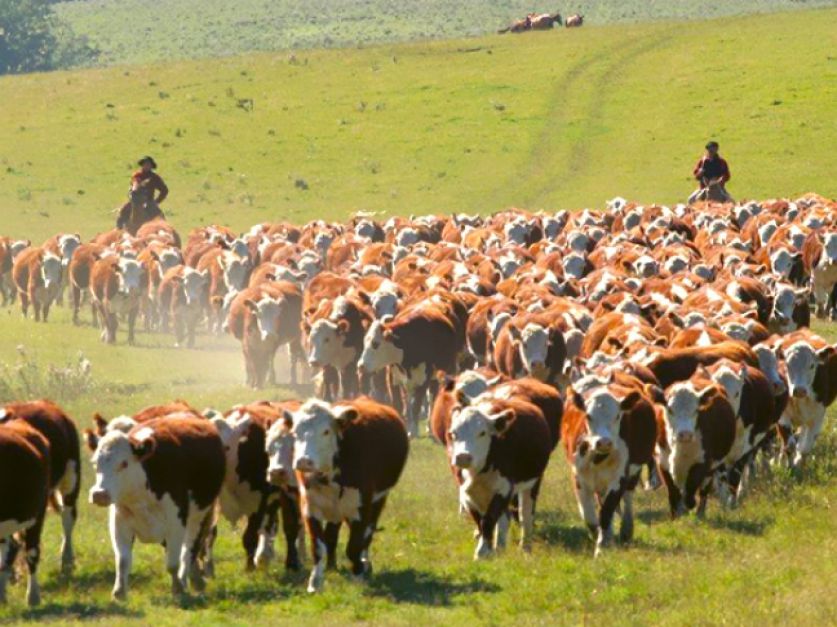 "Ni especuladores, ni devaluadores; somos productores"