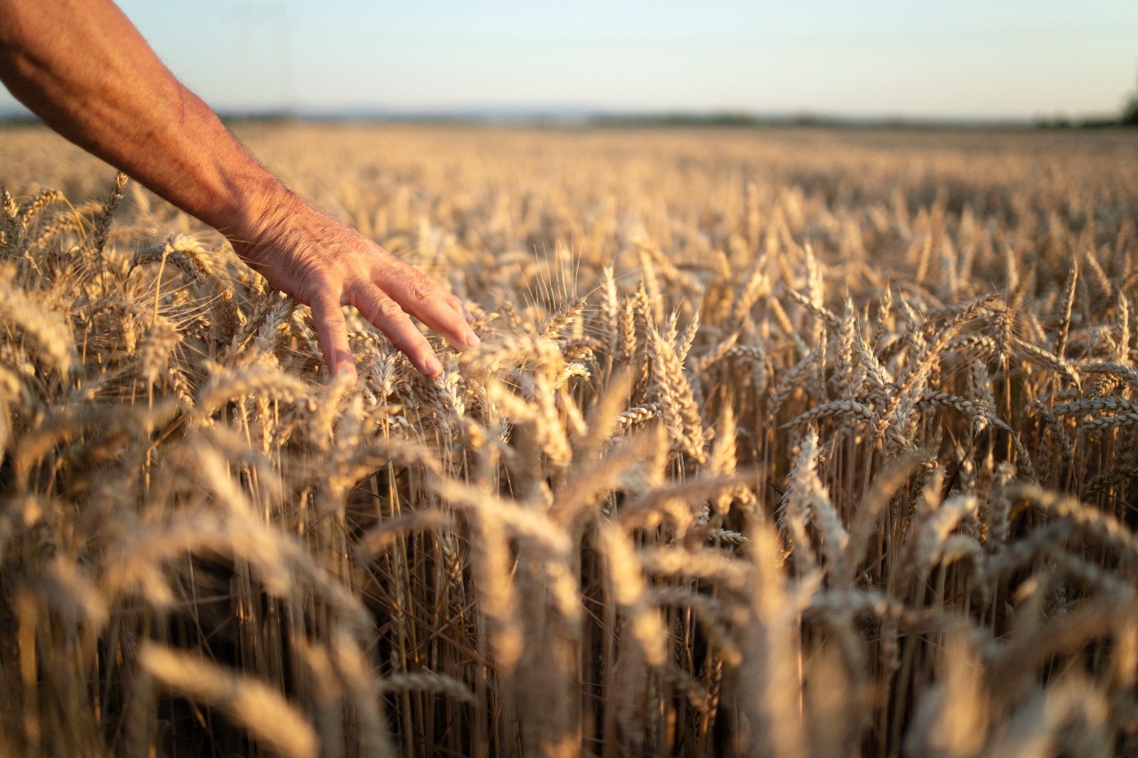 FADA: Las cadenas agroindustriales argentinas aportaron el 23,1 % al PBI